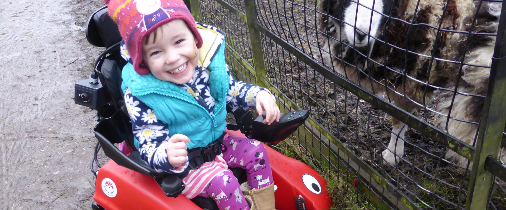Little girl in her Wizzybug powered wheelchair with a sheep