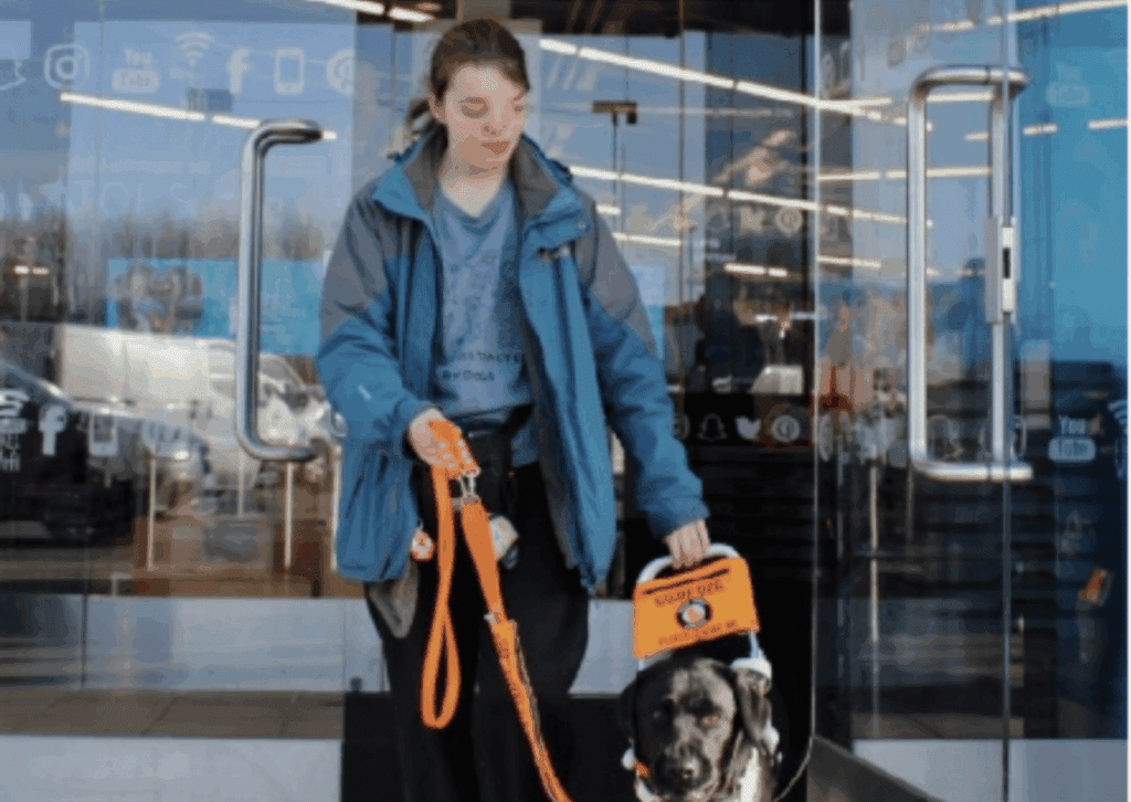 A person with a visual impairment walks beside their assistance dog outside a building